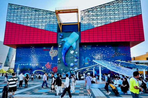 Osaka: Explore Cultural Gems with Pickup & Private Guide