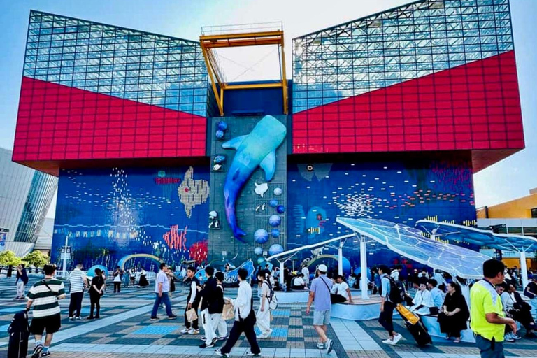 Osaka: Explore Cultural Gems with Pickup & Private Guide