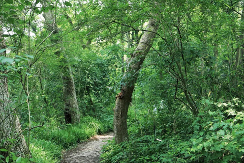 Wuxi: Hangzhou Nine Creeks & Longjing Tea Village Day Trip