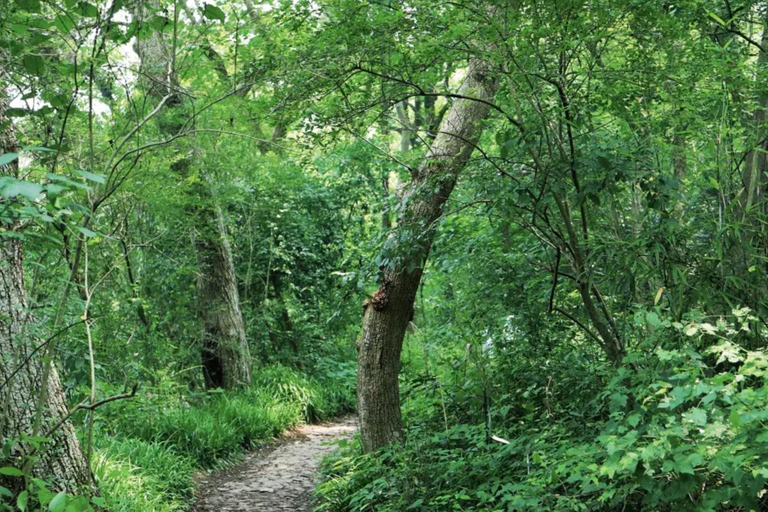 Wuxi: Hangzhou Nine Creeks & Longjing Tea Village Day Trip