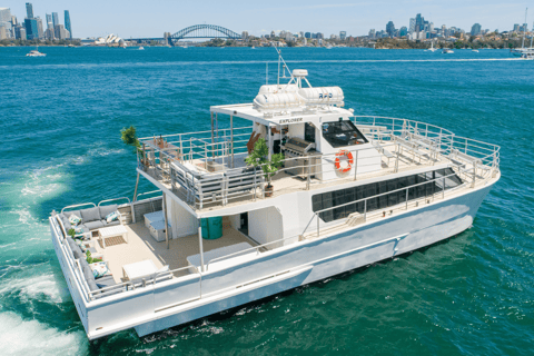 Sydney: Premium Catamaran Vivid Cruise with Welcome Drink Sydney Harbour: 90-Minute Vivid Cruise with Welcome Drink