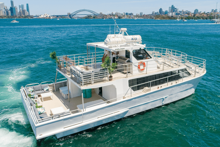 Sydney: Premium Catamaran Vivid Cruise with Welcome Drink Sydney Harbour: 90-Minute Vivid Cruise with Welcome Drink