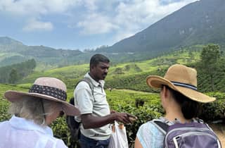 Munnar: Teepfad, Teefabrik und Teeverkostungstour