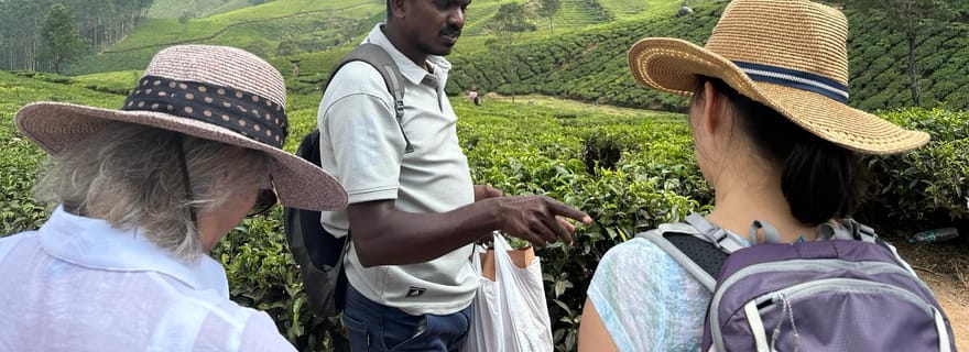 Munnar : Sentier du Thé, Usine de Thé et Visite de Dégustation de Thé