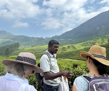 Munnar: Tea trail, Tea Factory, and Tea Tasting Tour