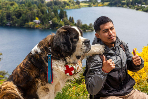 Combo: Small Circuit, Campanario and Llao Llao + Transfers