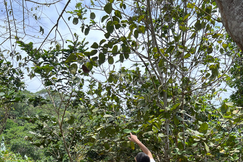 Parco Tayrona 2 giorni e 1 notte. Un percorso ancestrale.