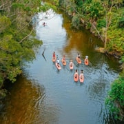 Sydney: Narrabeen Lagoon SUP Tour with Instructor