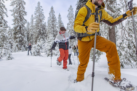 Da Oslo: Tour guidato con le racchette da neve nella foresta di OslomarkaDa Oslo: tour guidato con racchette da neve nella foresta di Oslomarka