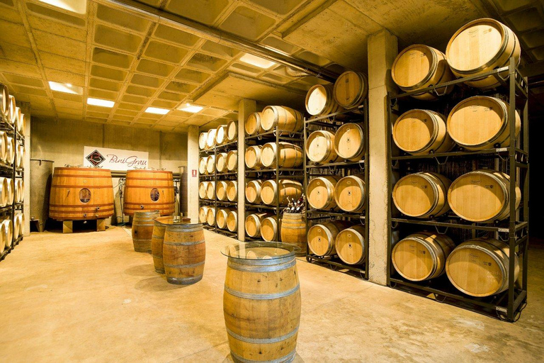 Wine Experience in Franciacorta, Italy's Champagne Region Inside the Cellar: Guided Visit & 3 Wine Tasting