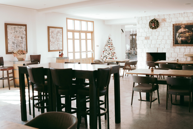 Myths, Waves & Wine: Cyprus in a Day