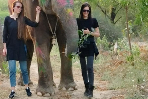 Jaipur: Rondleiding door Hathi Gaon Elephant Village