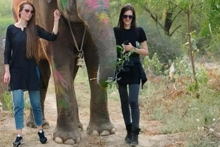 Jaipur: Rondleiding door Hathi Gaon Elephant Village