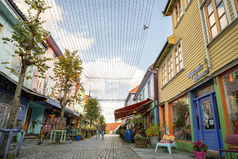 Private Stavanger city Highlights Driving tour