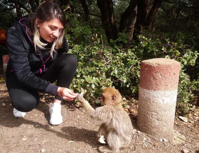 Au départ de Fès, excursion spéciale dans le Moyen Atlas en petit groupe - trekking