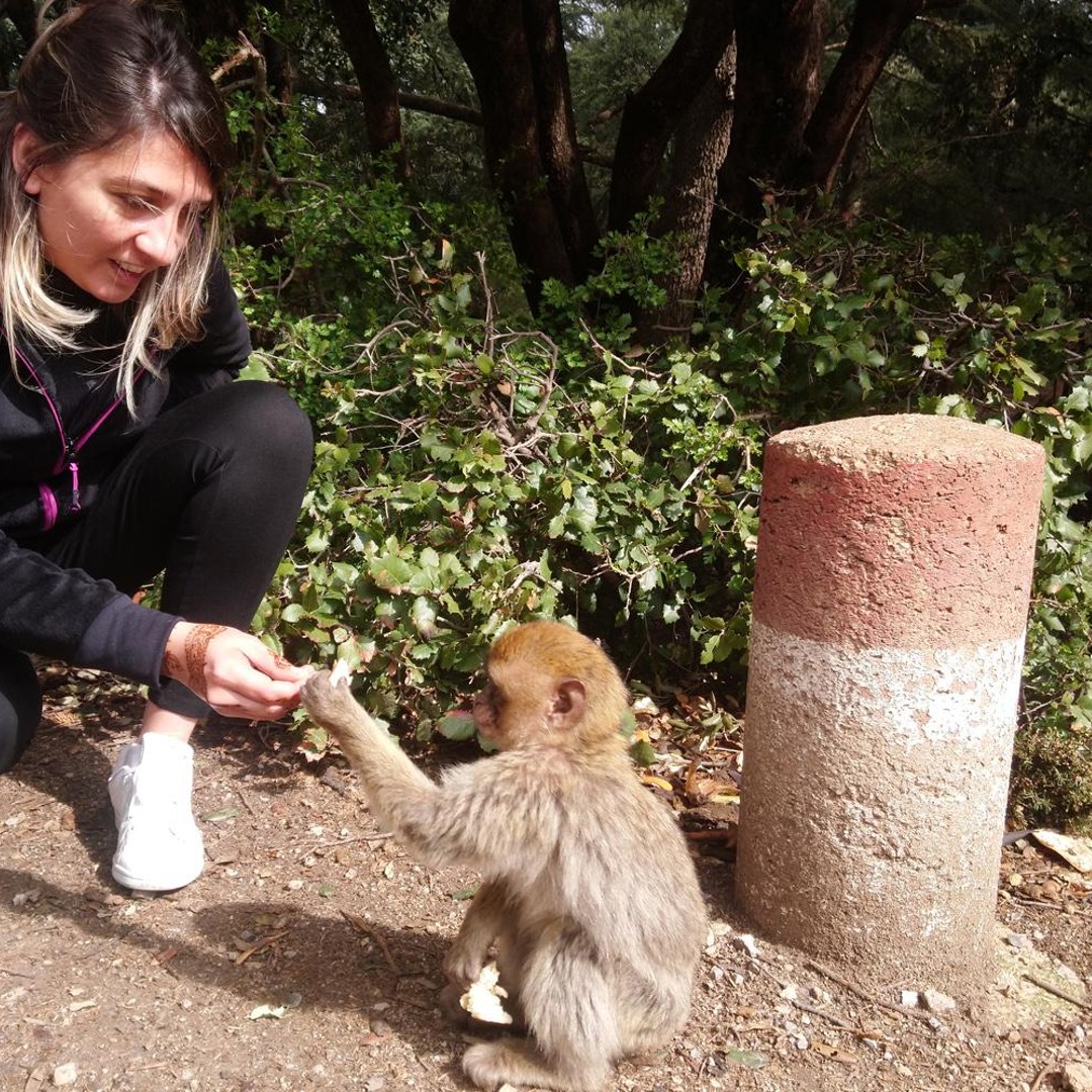 Au départ de Fès, excursion spéciale dans le Moyen Atlas en petit groupe - trekking