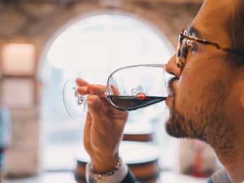 Porto: Taylor’s Port Cellar Tour & WOW Museum Pack
