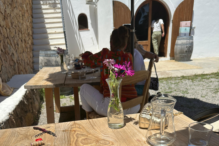 IBIZA: paseo a caballo + tour de cata de vino en bodega + recogidaIbiza: paseo a caballo + tour de cata de vino en bodega + recogida