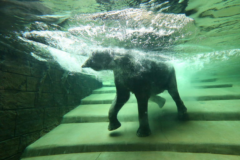 Zoo w Lipsku: Bilet wstępu