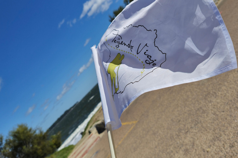 Tour de ville à Punta del Este : découvrez le meilleur avec d&#039;autres voyageurs