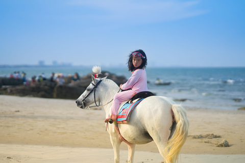 Martinique: Horseback Ride to Grand Macabou & Ocean Views