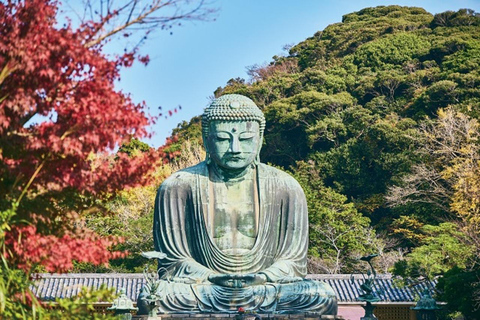 Tokyo: Kamakura Full Day Private Customizable Tour