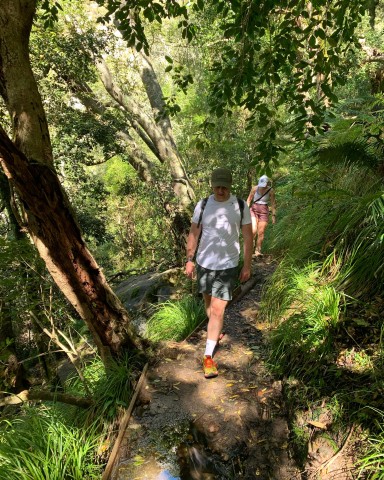 Visit Cape Town Skeleton Gorge and Kirstenbosch Gardens Hike in Cape Town