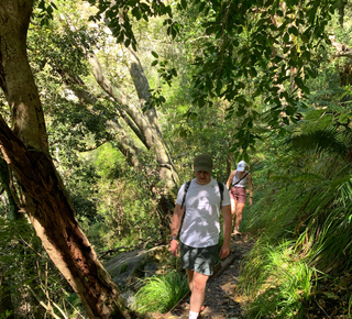 Kirstenbosch National Botanical Gardens: Tickets en tours