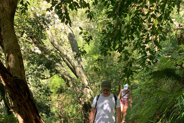 Kapstadt: Wanderung durch die Skelettschlucht und die Kirstenbosch-Gärten