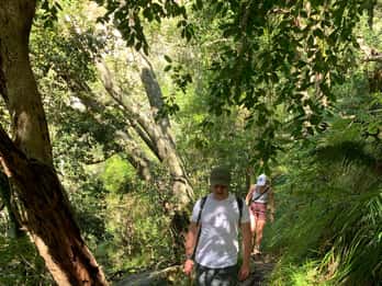 Skeleton Gorge & Kirstenbosch Hike