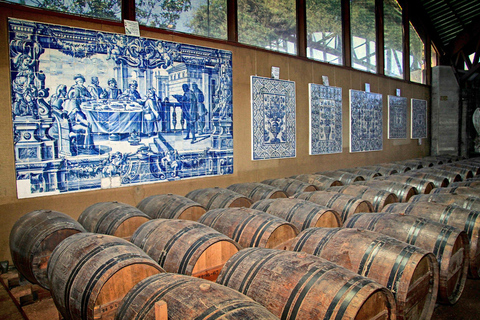 From Lisbon: Serra da Arrábida, Sesimbra, and Setúbal Wines Exclusive Private Tour