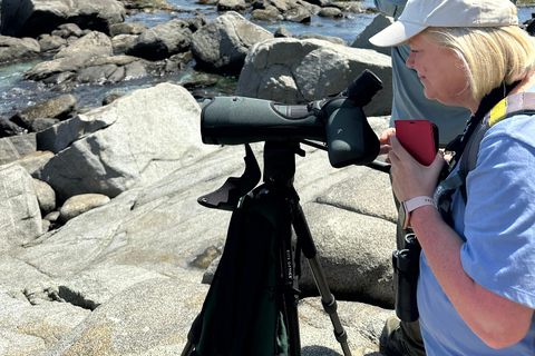 From Valparaiso: Private Mantagua Wetlands & Penguins Tour