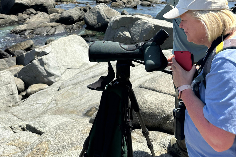 From Valparaiso: Private Mantagua Wetlands & Penguins Tour