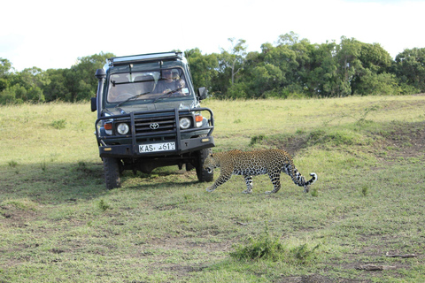 "Day Trip to Ol Pejeta: Wildlife & Picnic Lunch Adventure" olpajeta daytrip