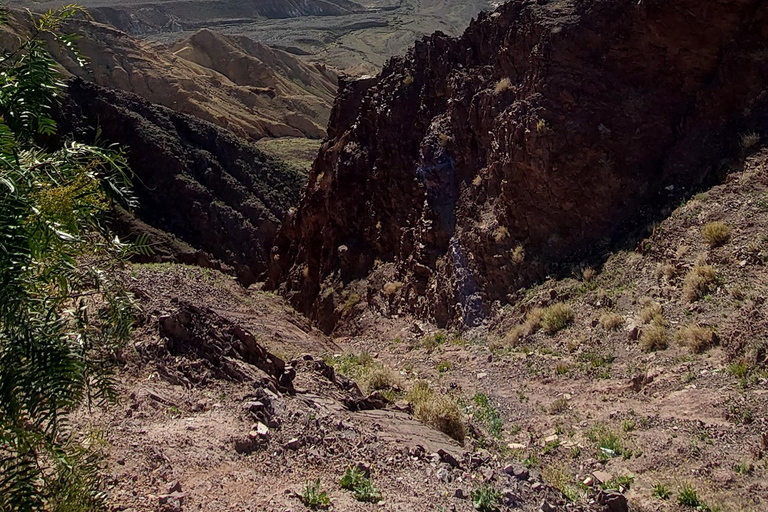 Alquila un coche con conductor para visitar todo Jordania desde Ammán.Por Un Día Coche Con Conductor.