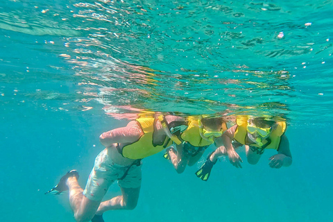 Ft Lauderdale: Combo Deal Snorkel Reefs, Kayak/SUP Mangroves