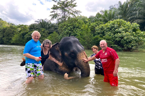 Khao Lak: Khao Sok Elephant Sanctuary and Night Jungle Walk Khao Sok Elephant Sanctuary and Night Jungle Walk