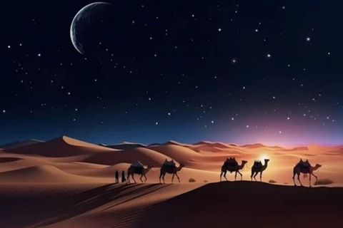 Doha: Guided Sunrise, Sunset or Overnight Desert Safari Tour Doha: Private Guided Sunrise, Sunset Desert Safari Tour