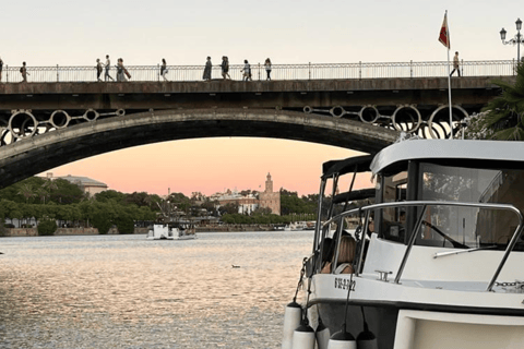 Paseo en barco privado por el GuadalquivirPaseo en barco privado 1h (1 a 12 pax)