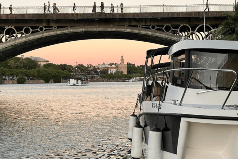 Paseo en barco privado por el GuadalquivirPaseo en barco privado 1h (1 a 12 pax)