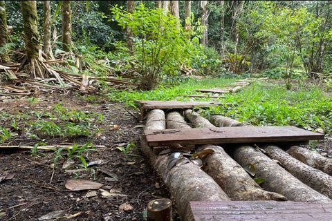 Mare Aux Cochon (Private Hiking Activity) - All Inclusive