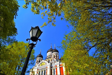 Tallinn: Old Town Food Tour from the cruise port