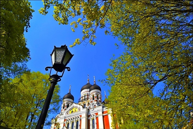 Tallinn: Old Town Food Tour from the cruise port