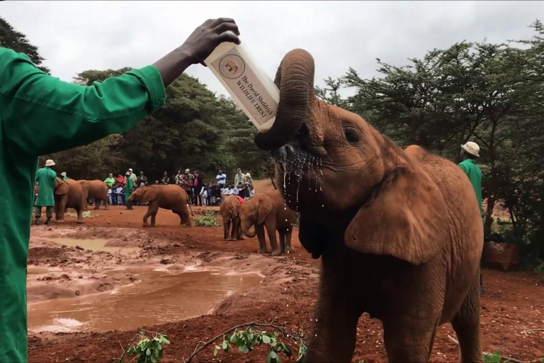 From Nairobi: Kazuri beads, Baby Elephant and Giraffe Centre