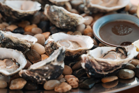 Sydney : croisière privée de 4 heures en yacht de luxe dans la baie et baignade
