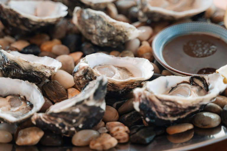 Sydney : croisière privée de 4 heures en yacht de luxe dans la baie et baignade