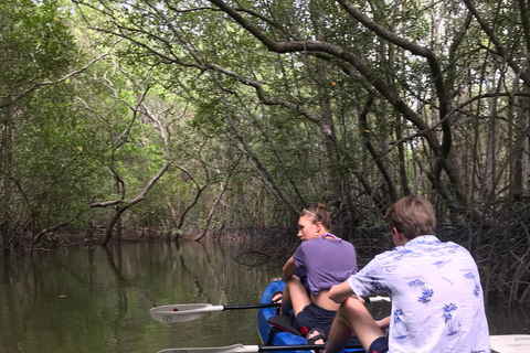 Ko Lanta: Halvdagsutflykt EXPLORE MANGROVE med KAYAKING Tour