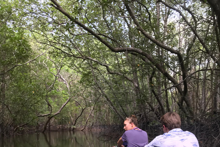 Ko Lanta: Halvdagsutflykt EXPLORE MANGROVE med KAYAKING Tour