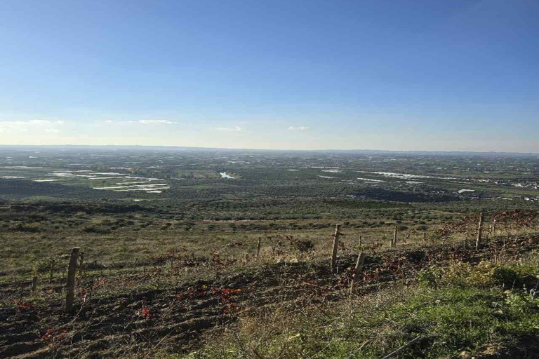 Berat: Private Sunset Tour with Wine and Fruits