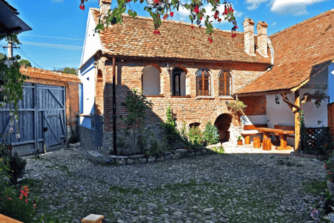 Au départ de Bucarest : excursion authentique dans des villages oubliés